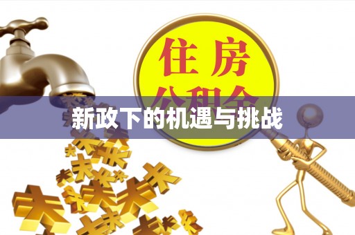 临城新政下的机遇与挑战