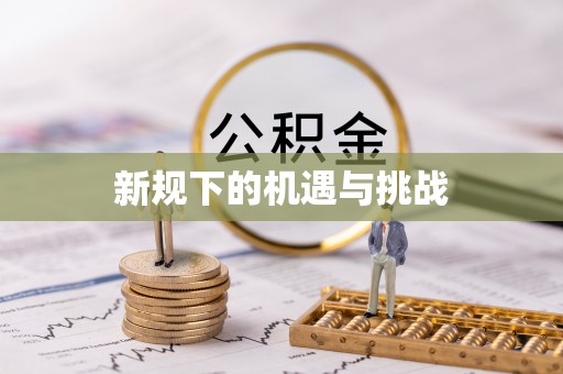 临城新规下的机遇与挑战