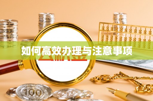 临城如何高效办理与注意事项