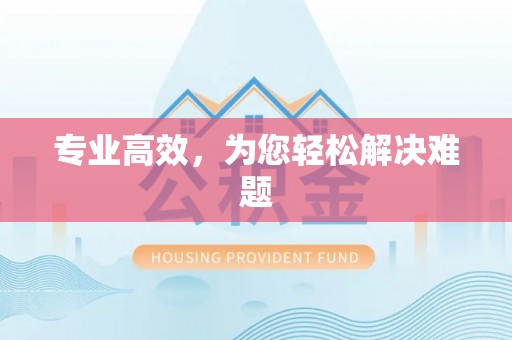 临城专业高效，为您轻松解决难题