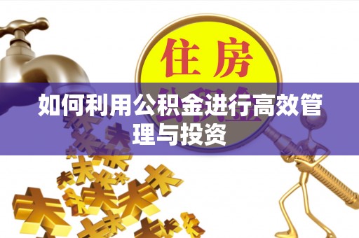 临城如何利用公积金进行高效管理与投资
