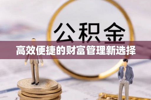 临城高效便捷的财富管理新选择