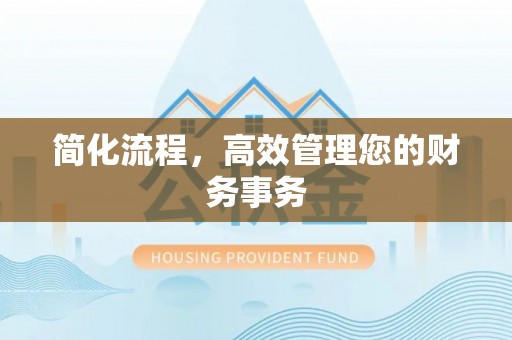 临城简化流程，高效管理您的财务事务