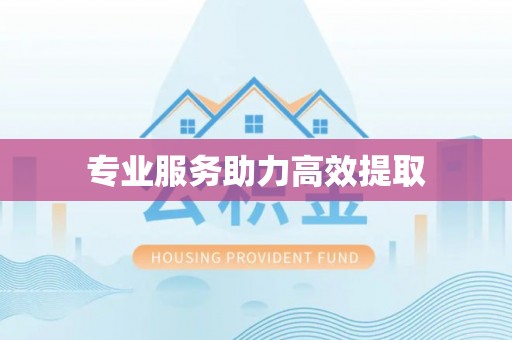 临城专业服务助力高效提取