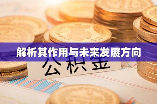临城解析其作用与未来发展方向